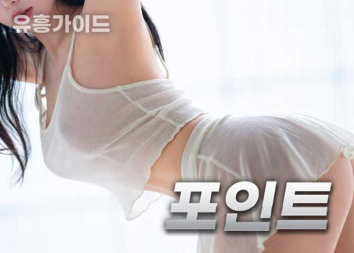 포인트