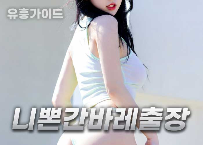 니뽄간바레출장